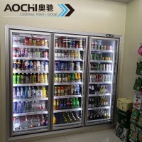 海南奥驰冷柜**代工生产海南保鲜柜冷藏柜水果柜冷冻柜熟食柜鲜肉柜